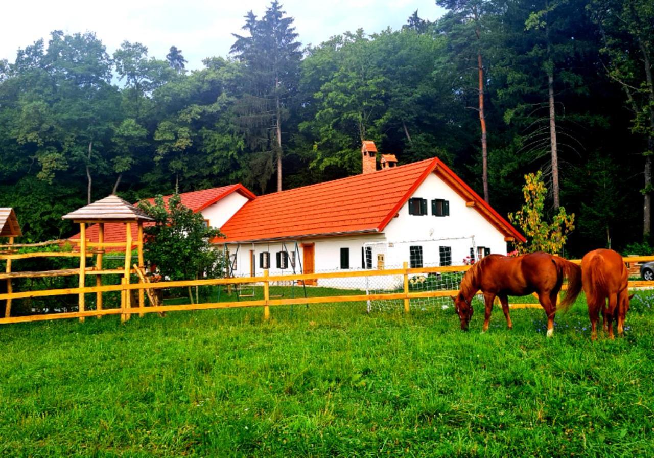 Вилла Turisticna Kmetija Hisa Ob Gozdu Pri Ptuju Экстерьер фото